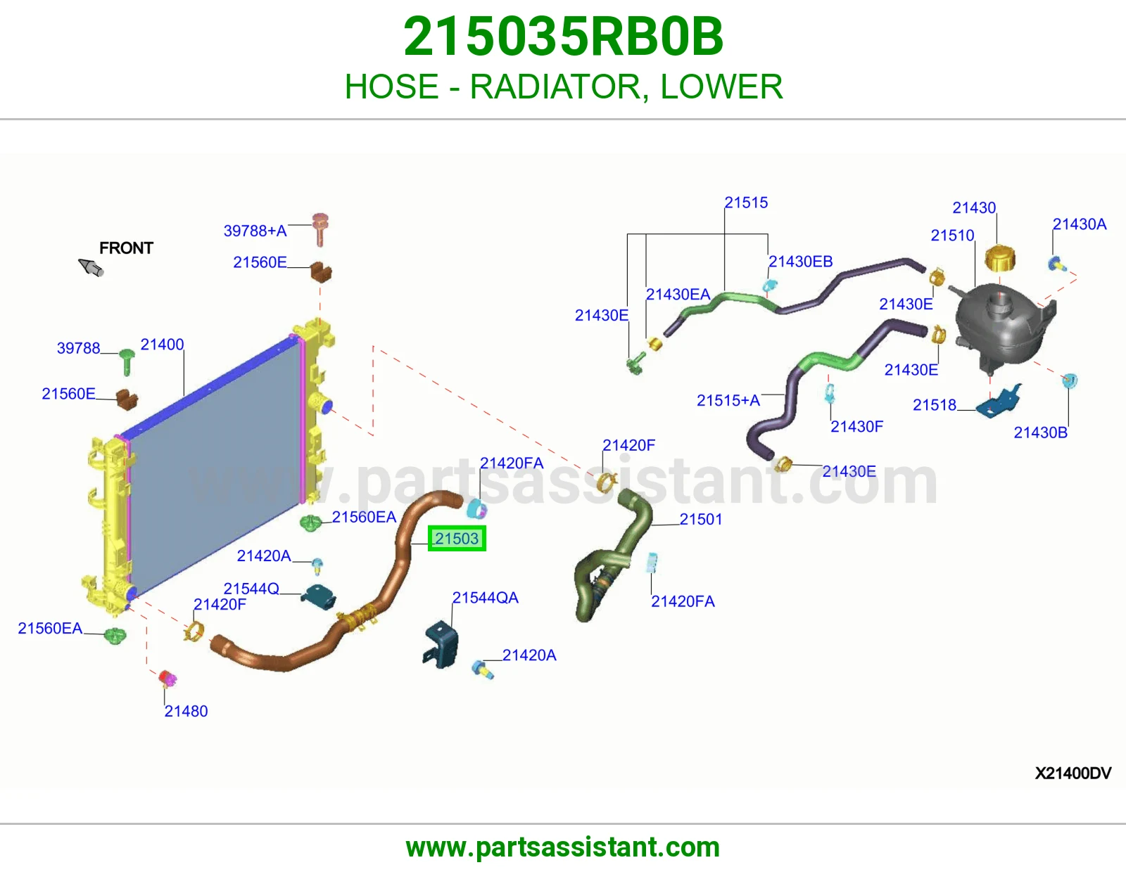 لي خرطوش رديتر ماء تحت 215035RB0B