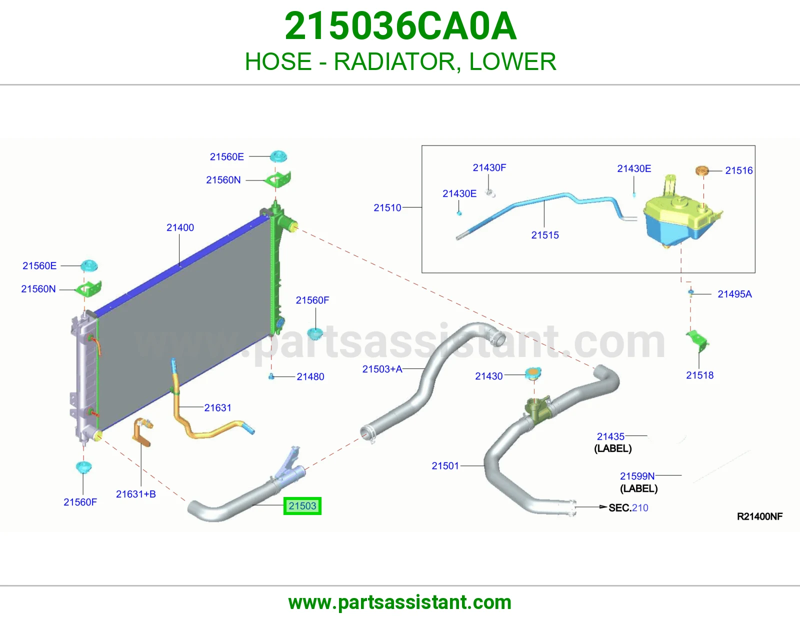 لي خرطوش رديتر ماء تحت 215036CA0A