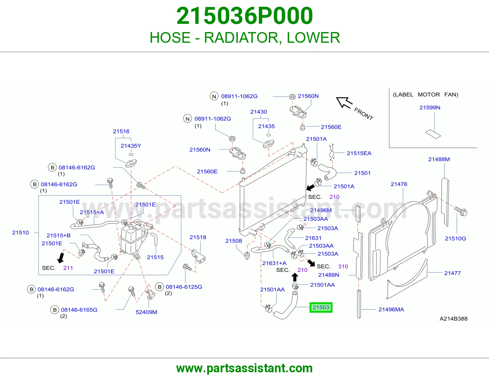 لي خرطوش رديتر ماء تحت 215036P000