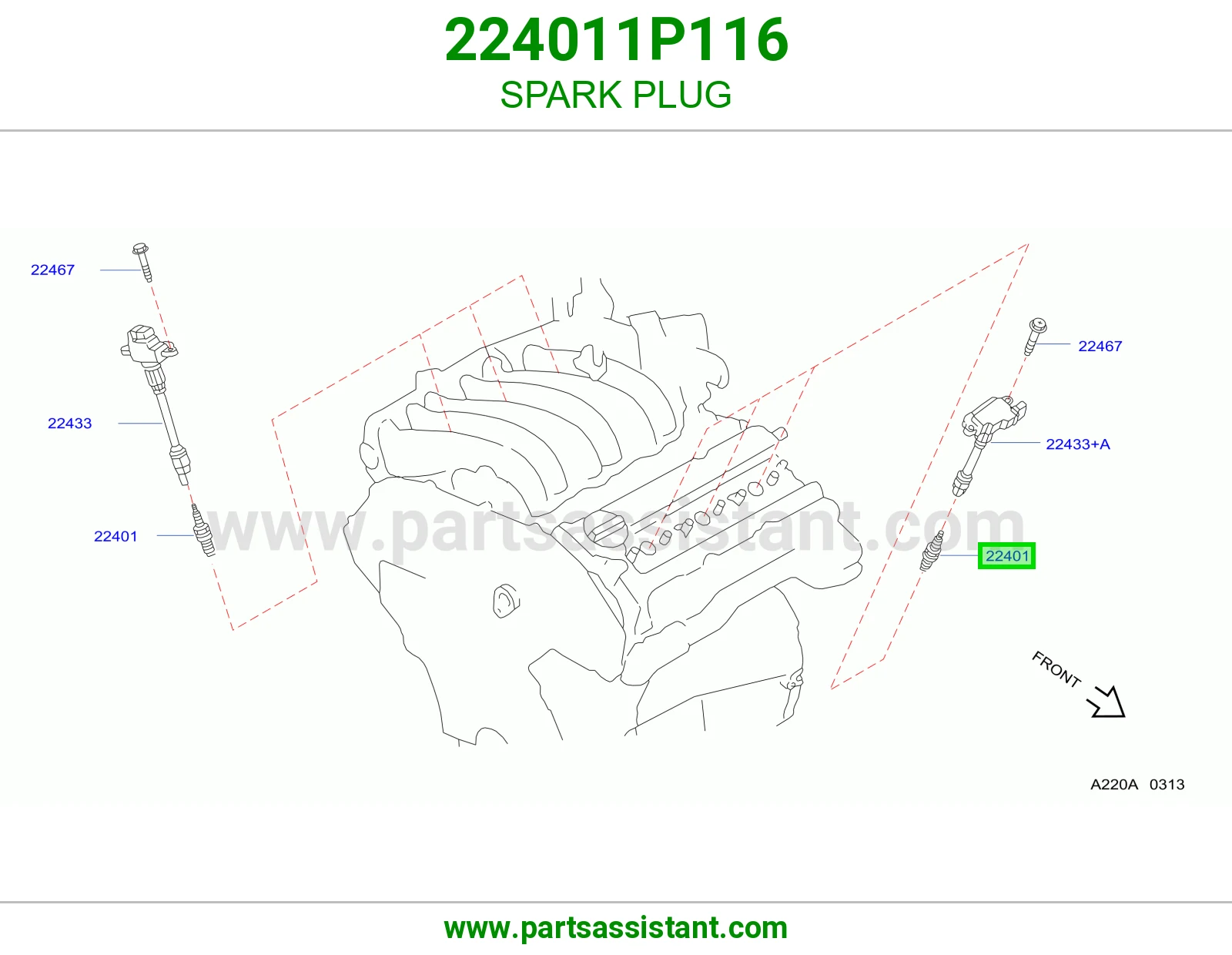 بواجي 224011P116