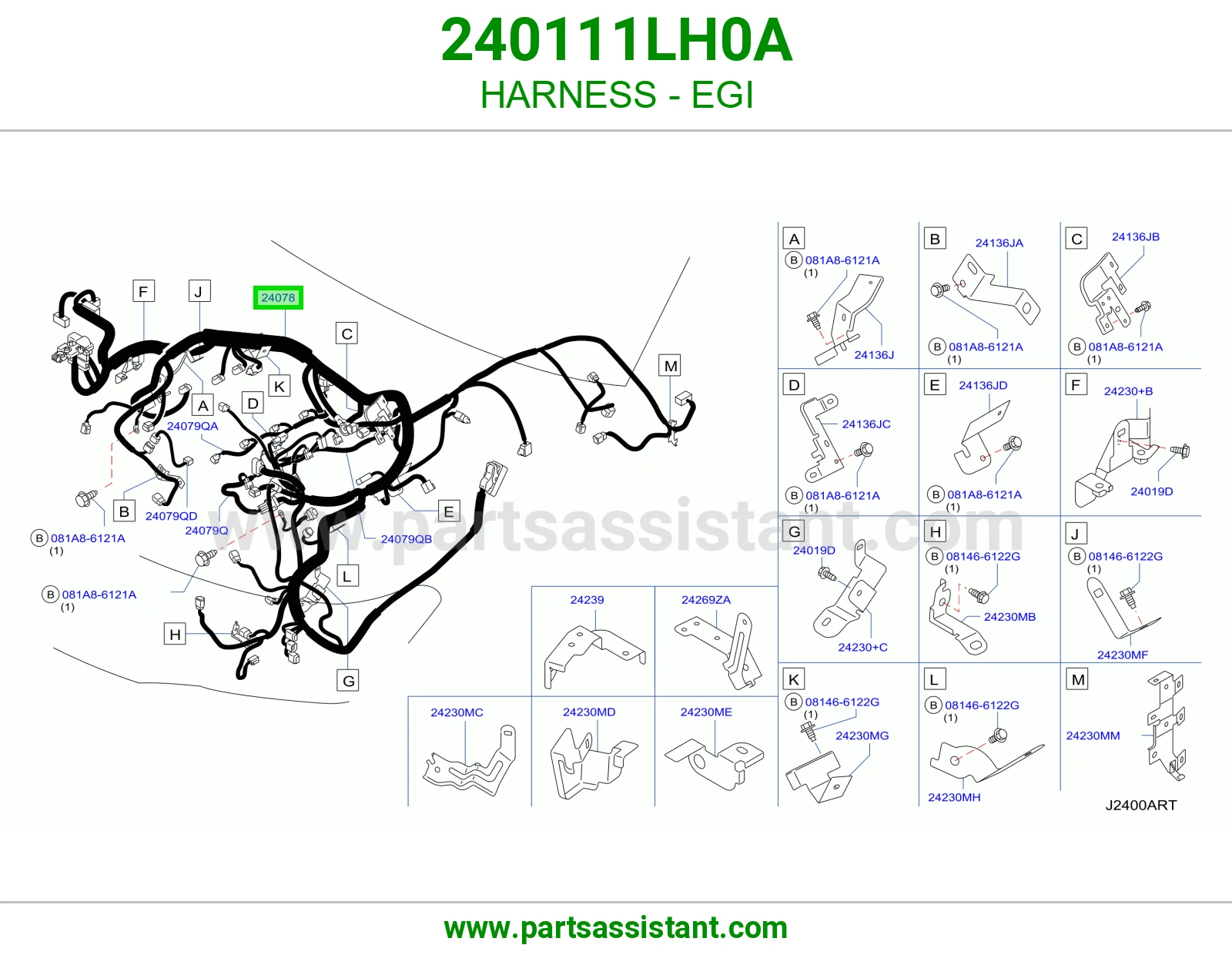 ضفيرة EGI 240111LH0A
