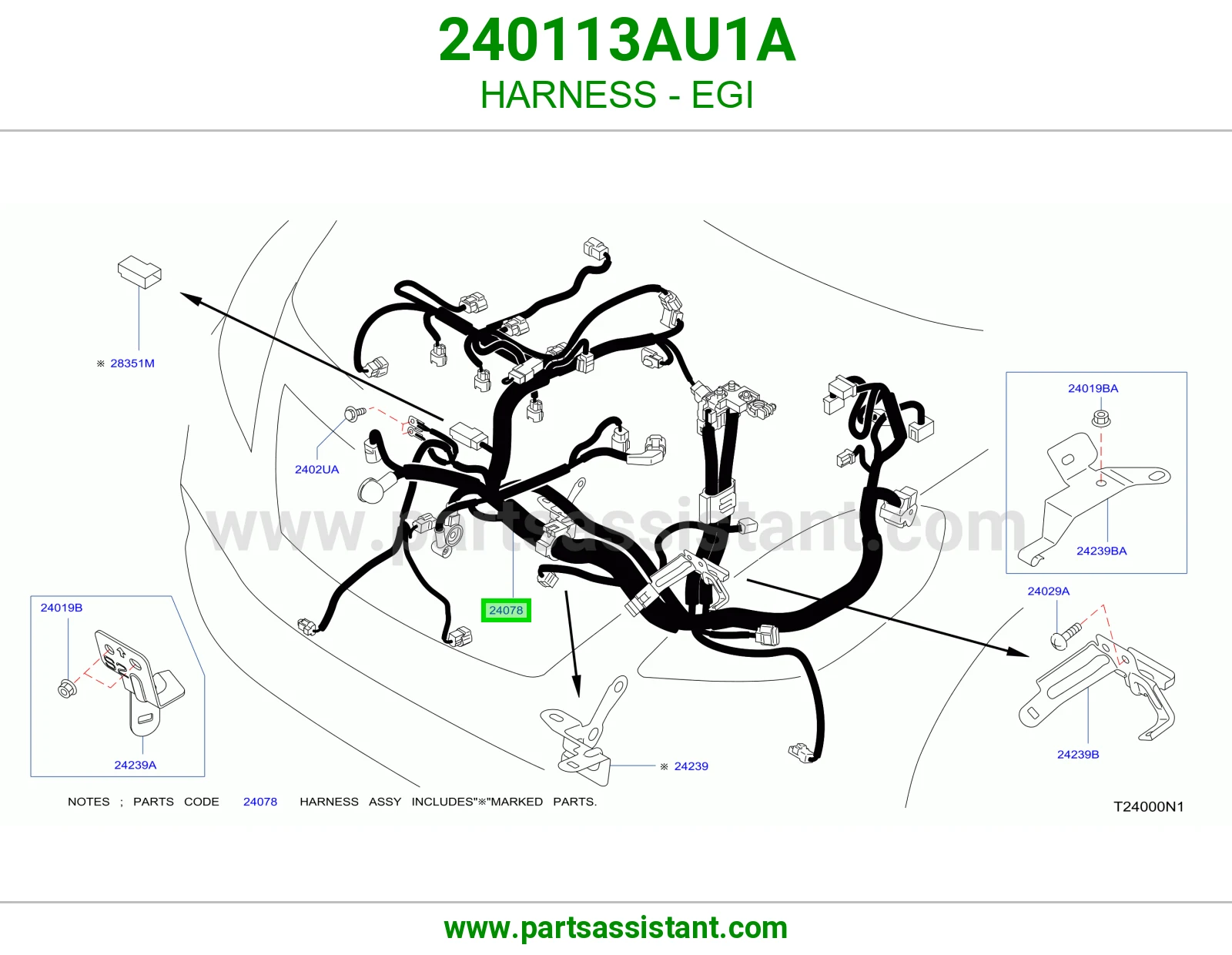 ضفيرة EGI 240113AU1A