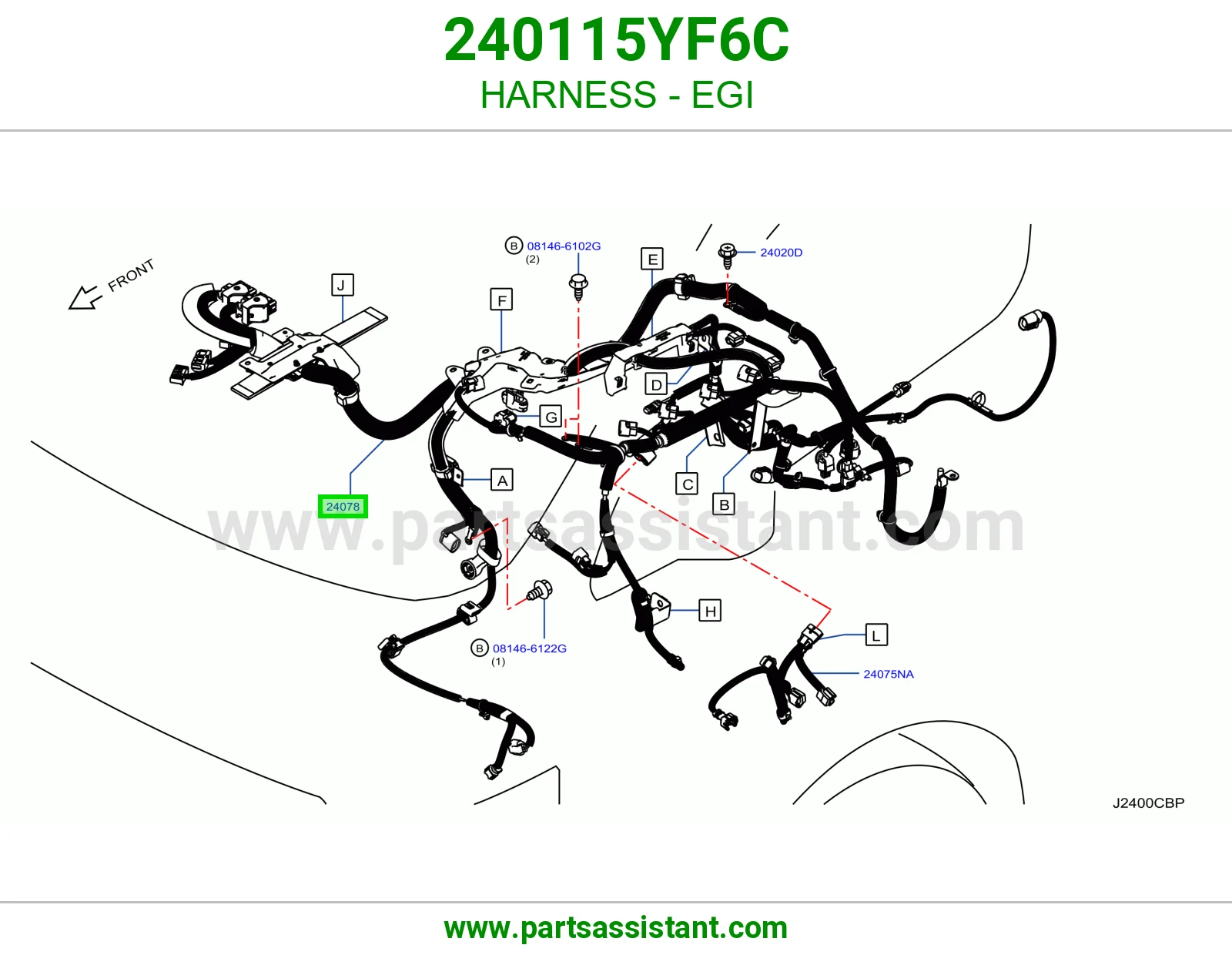 ضفيرة EGI 240115YF6C