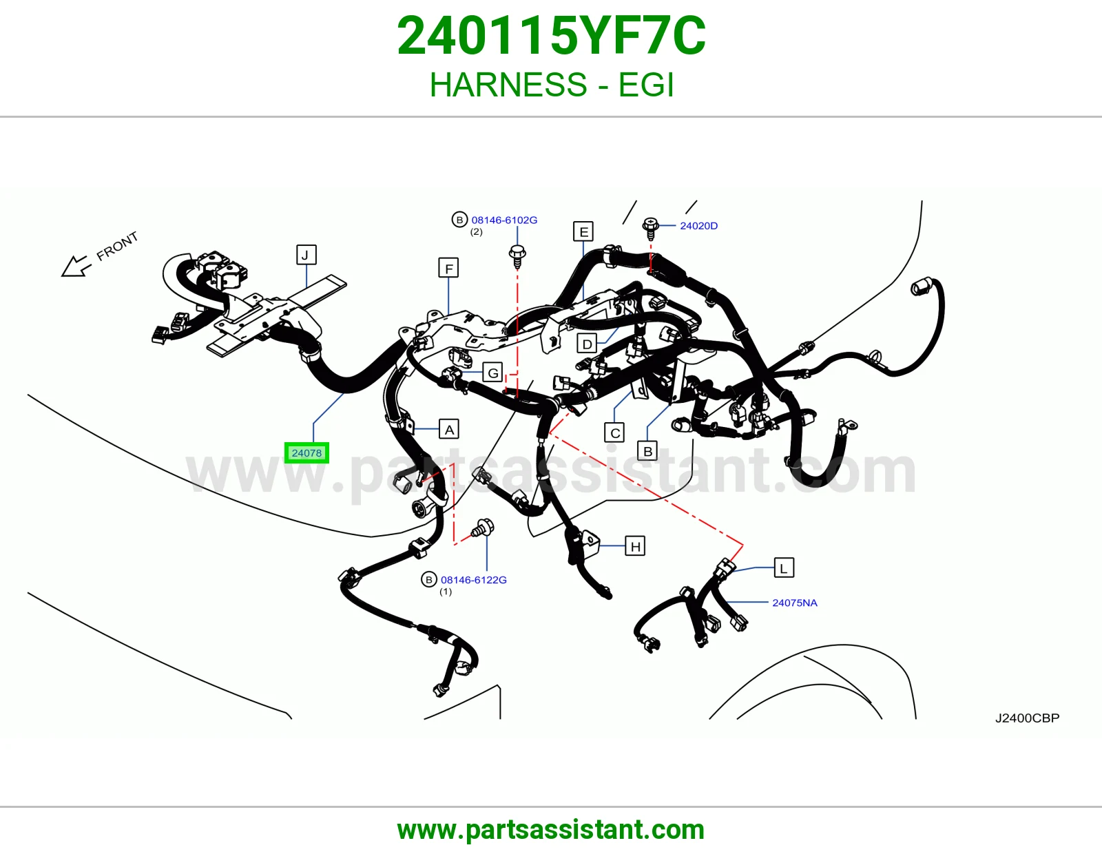 ضفيرة EGI 240115YF7C