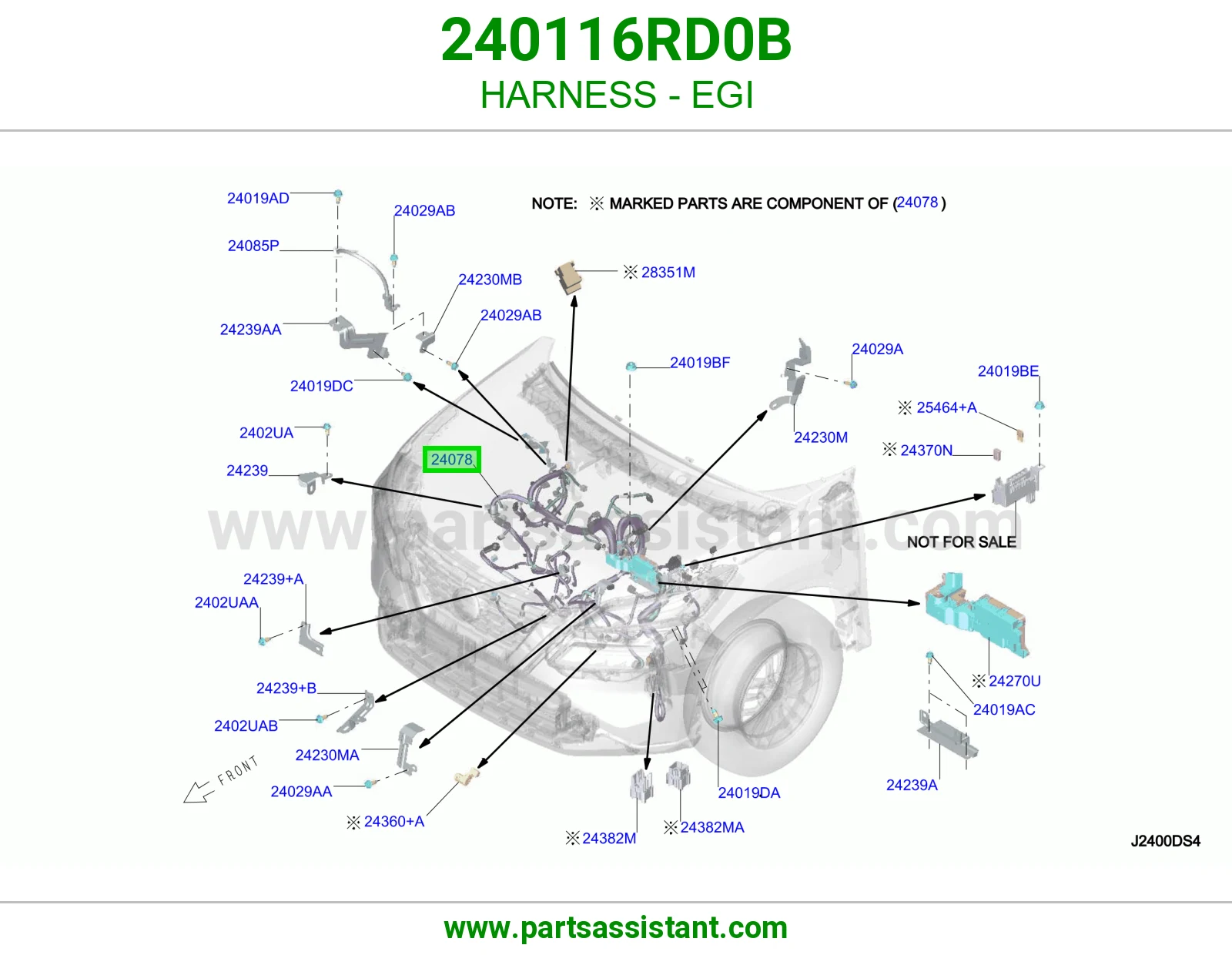 ضفيرة EGI 240116RD0B