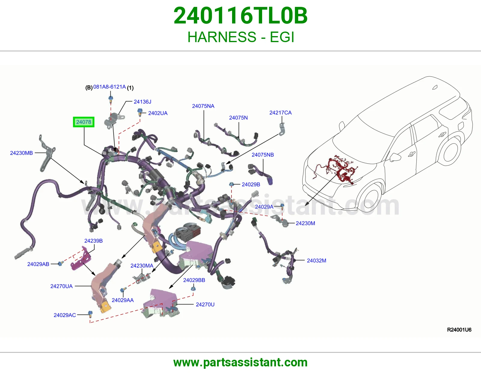 ضفيرة EGI 240116TL0B