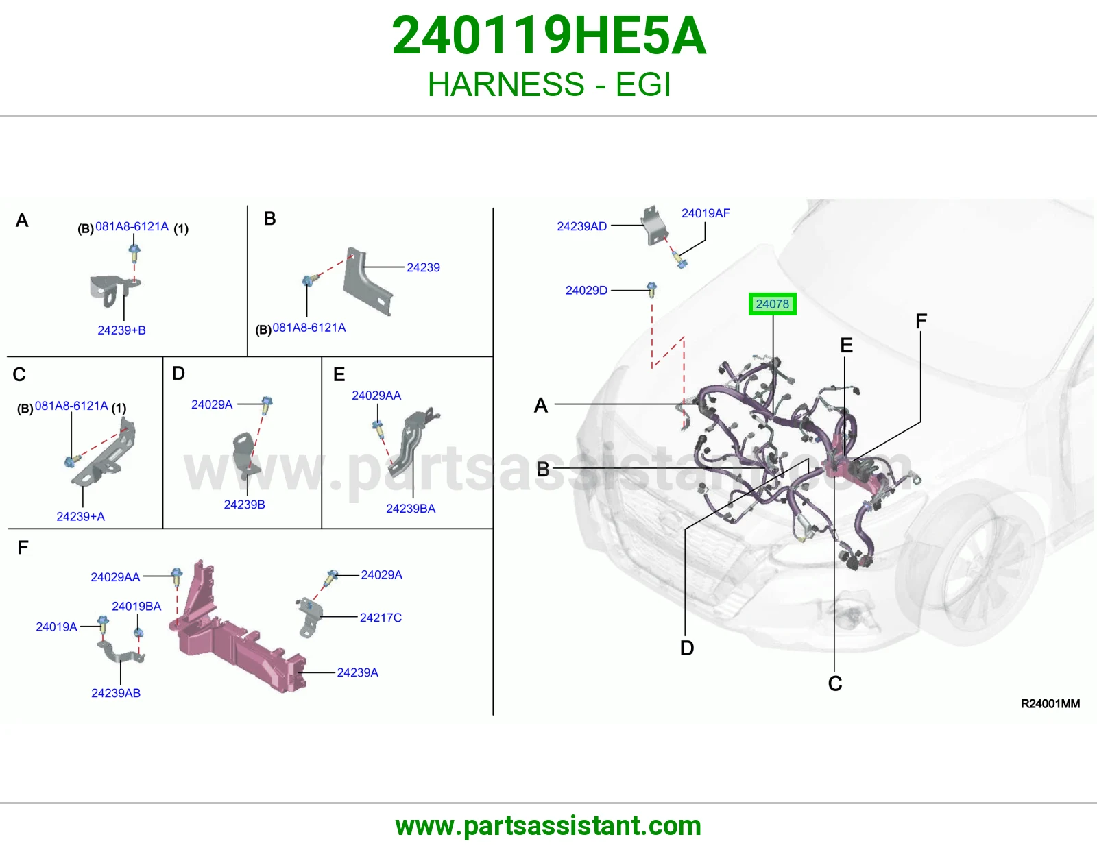 ضفيرة EGI 240119HE5A