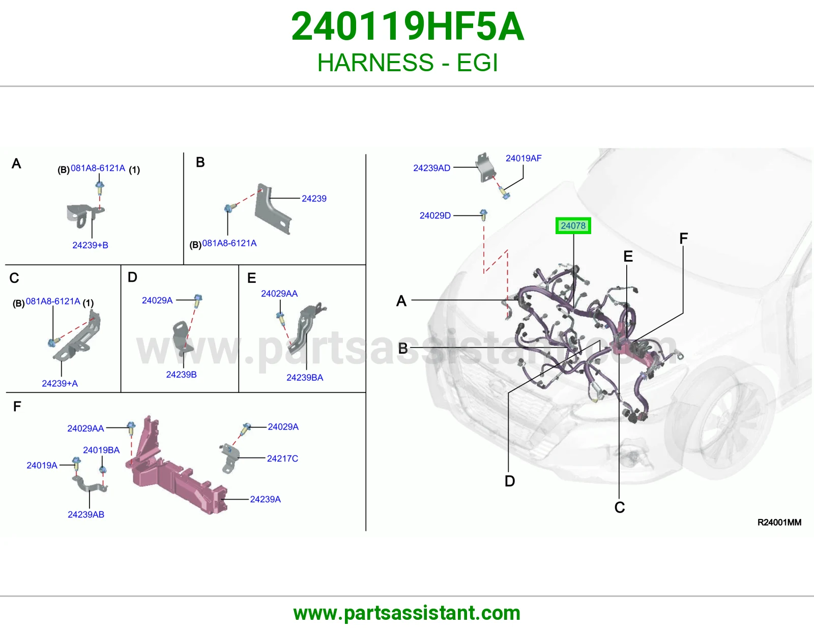ضفيرة EGI 240119HF5A