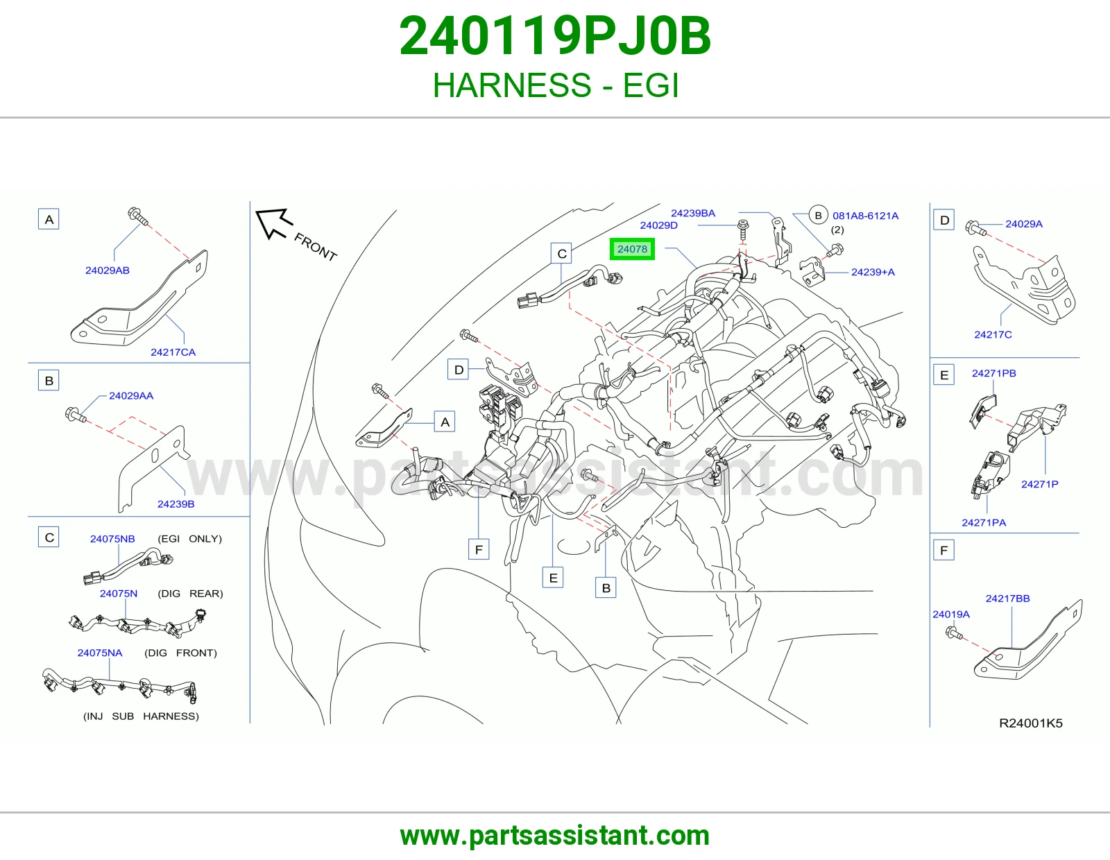 ضفيرة EGI 240119PJ0B