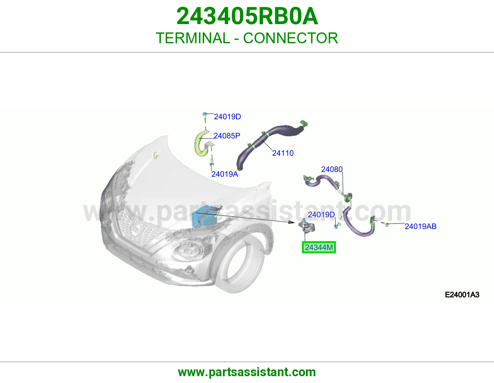 ترمينال فيش 243405RB0A
