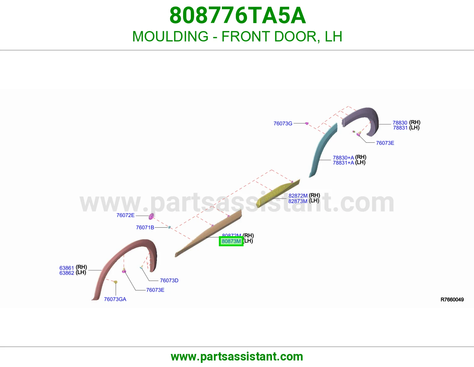 زيق باب امامي يسار 808776TA5A