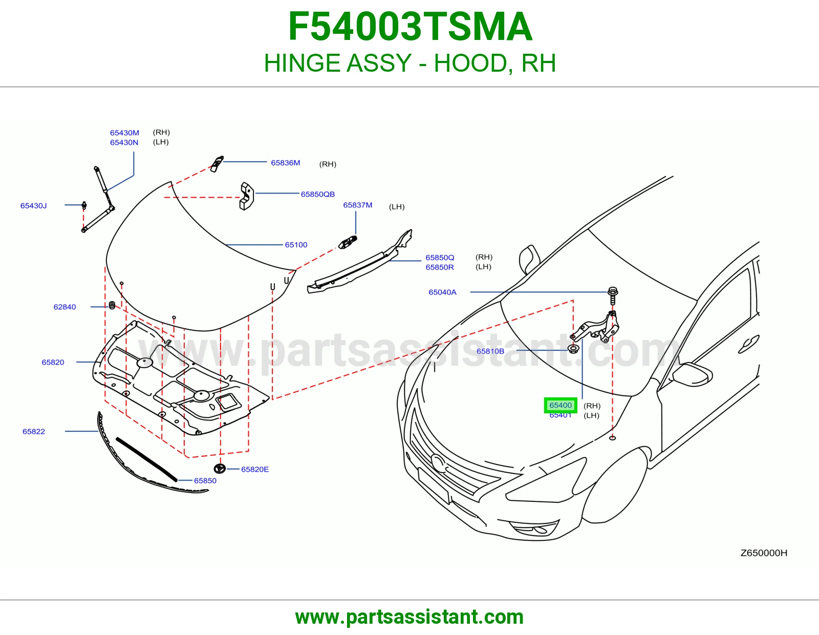 مفصله كبوت يمين F54003TSMA