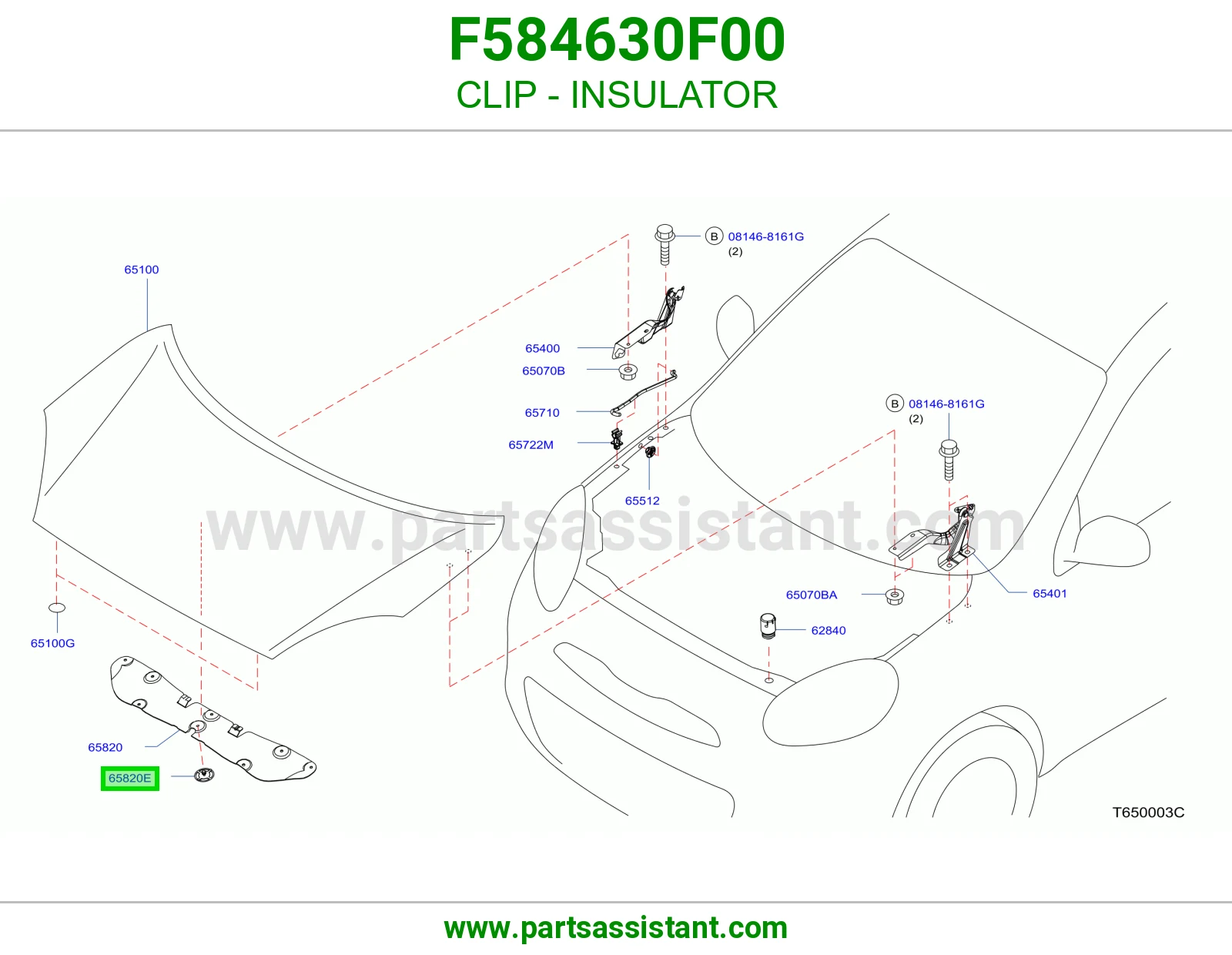 مشقبيه كبوت F584630F00