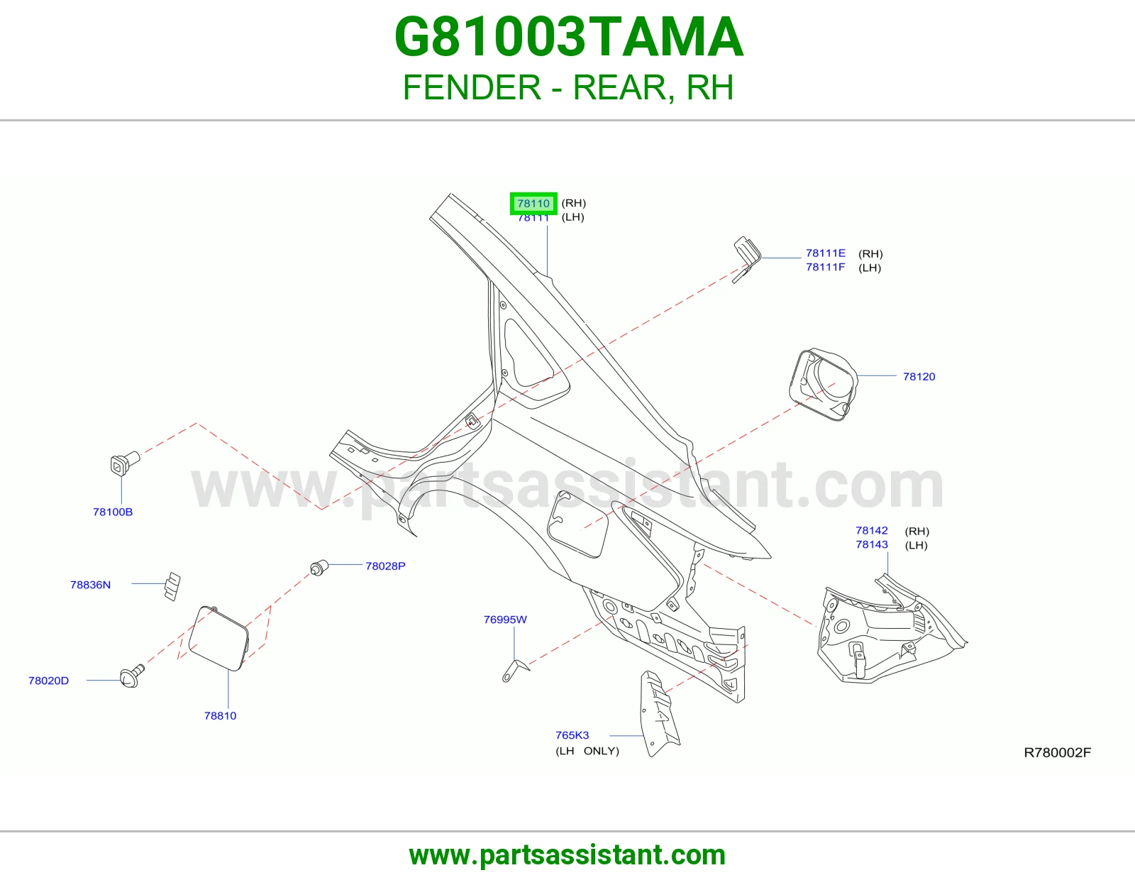 رفرف خلفي يمين G81003TAMA