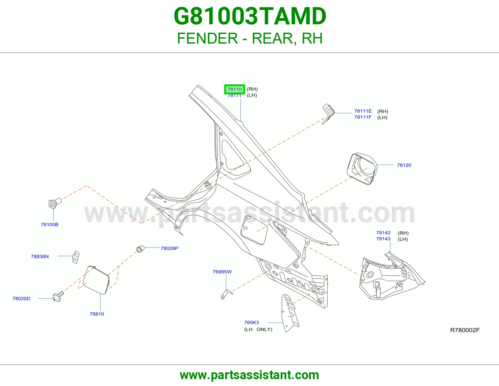 رفرف خلفي يمين G81003TAMD