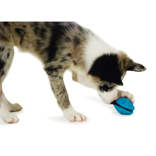PETSAFE Busy Buddy Puppy Twist ‘n Treat  (S) Refillable dog chew toy
