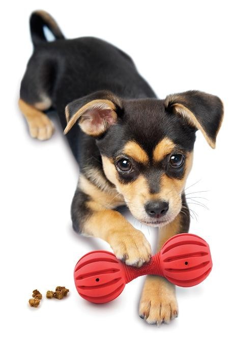 PETSAFE Busy Buddy Waggle (XS) - Puppy Treat dispensing toy