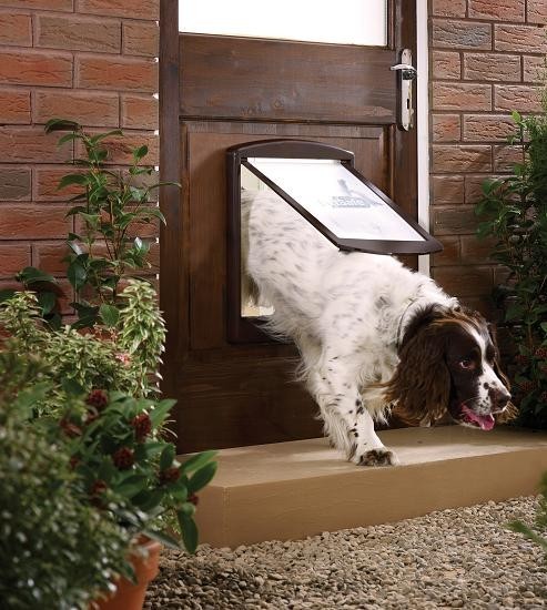 PetSafe Staywell 775 Large Pet Door - Brown