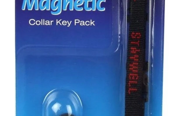 PetSafe Staywell 480 Magnetic Collar Key
