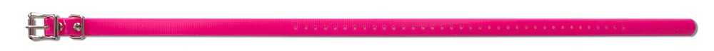 SportDOG Collar /Pink/