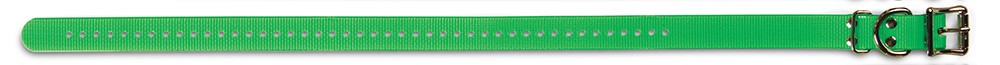 SportDOG Collar /Green/ 25mm