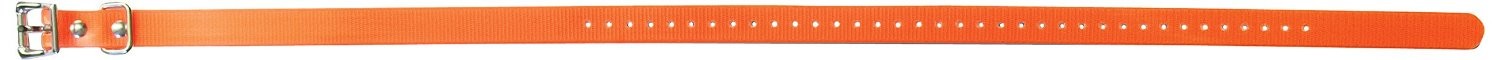 SportDOG Collar /Orange/ 25mm