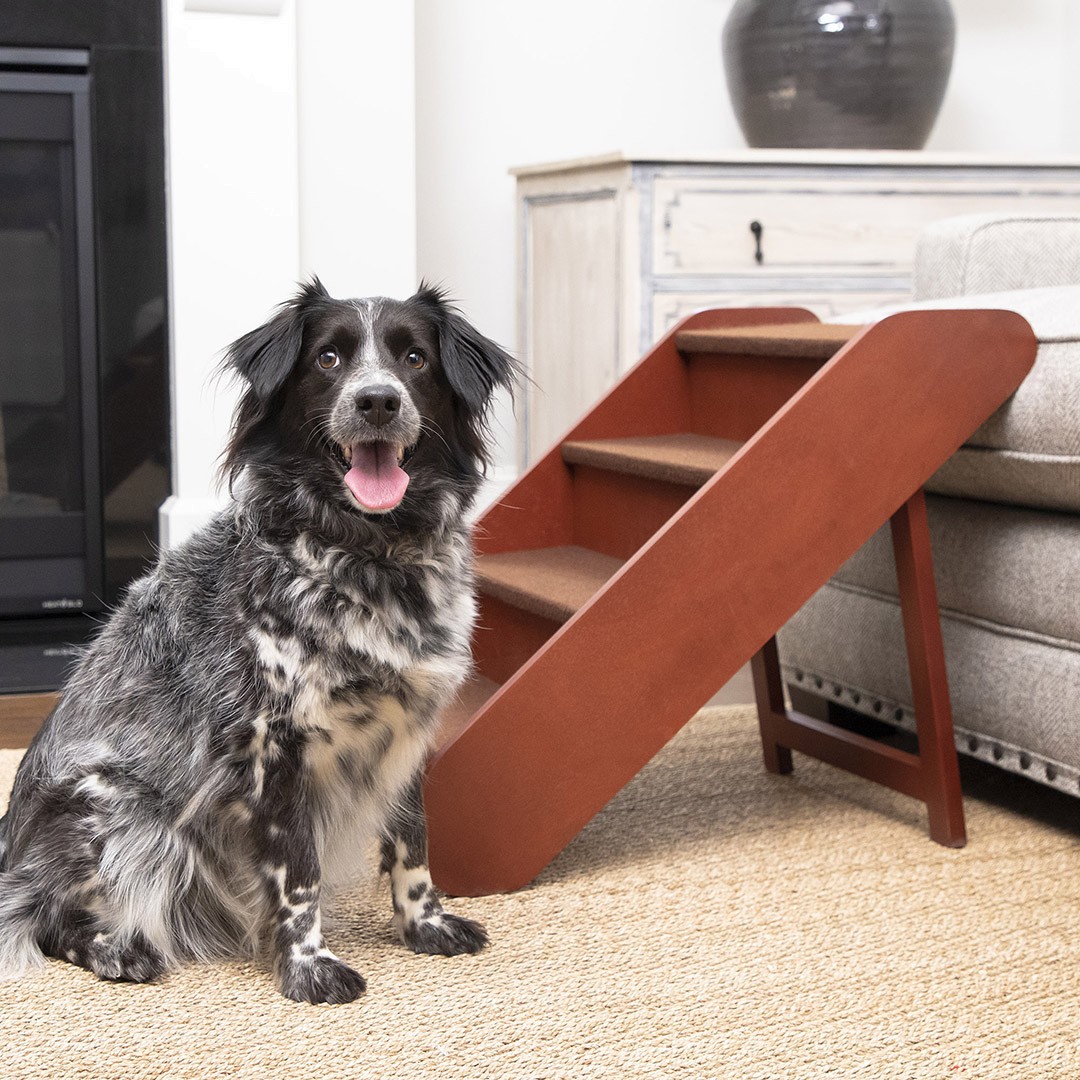 PetSafe® CozyUp™Folding Wood Pet Steps, 4 Steps 64cm High