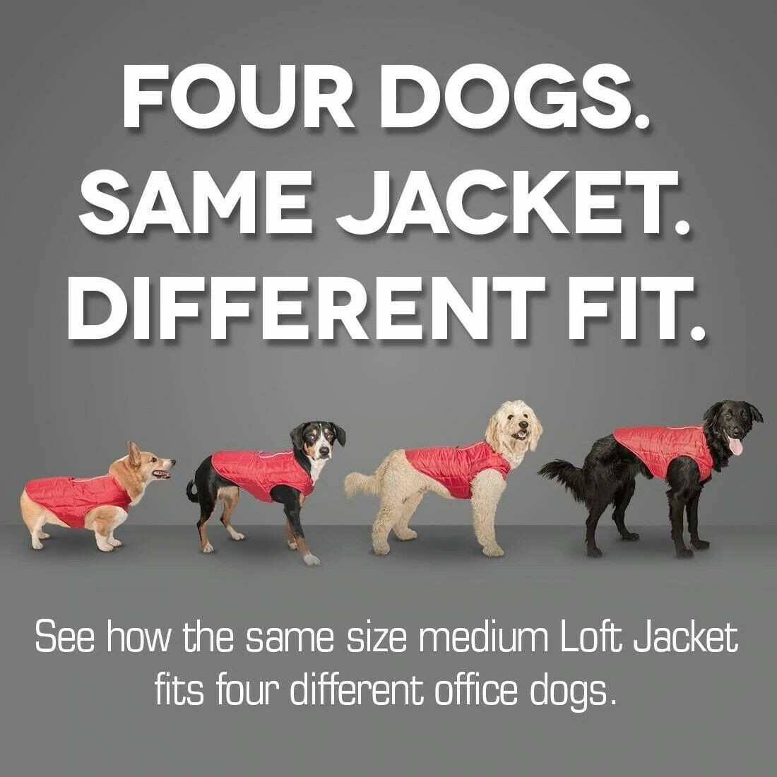 Kurgo Loft Dog Jacket XL CHILI RED-CHARCOAL- XL