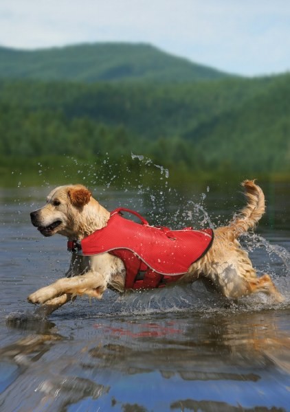 Kurgo Surf N Turf XL Dog Life Jacket XL