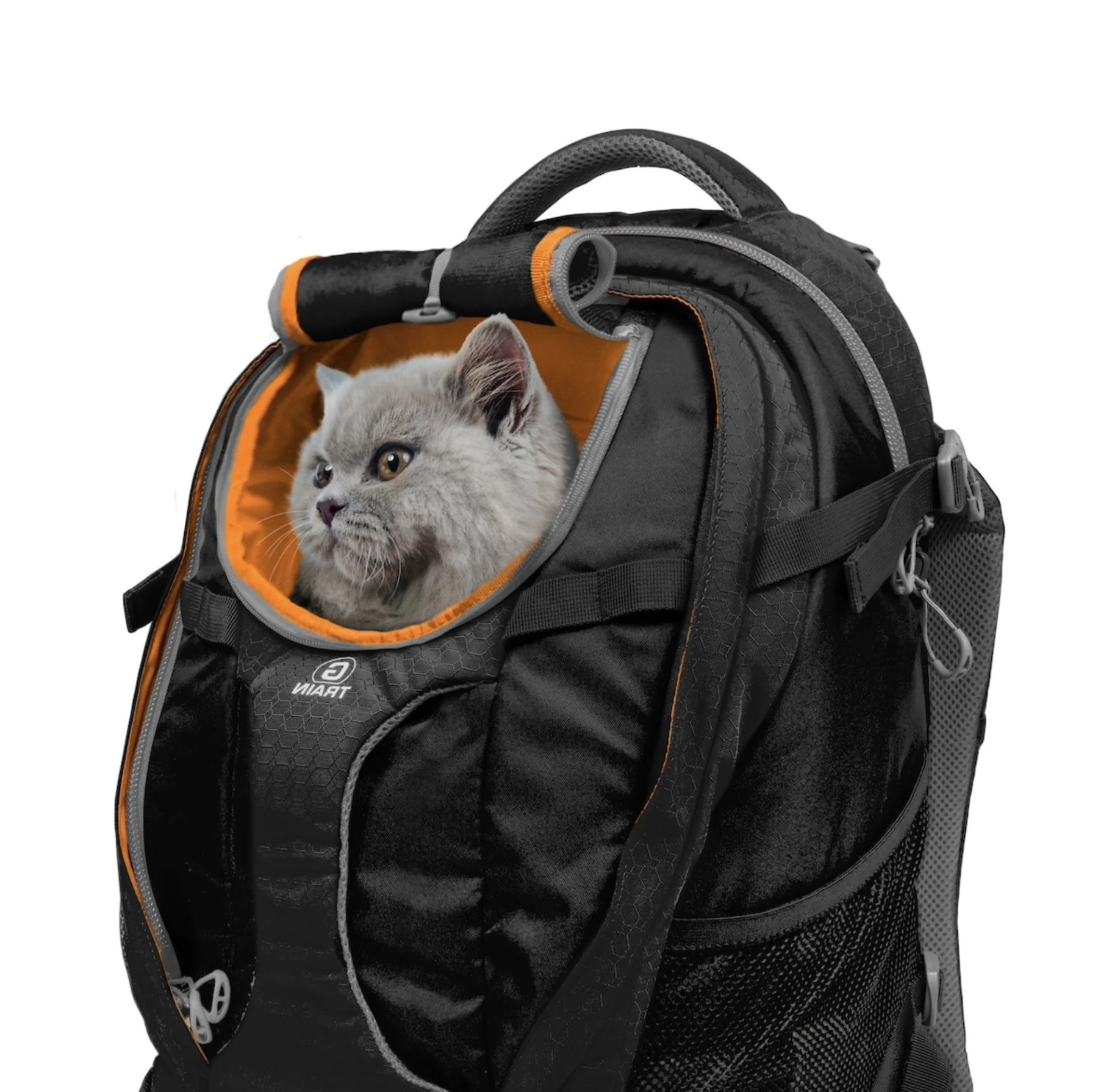 Kurgo G-Train Dog Carrier Backpack - Black