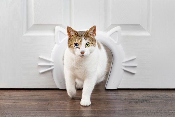 PetSafe® Cat Corridor™ Interior Pet Door