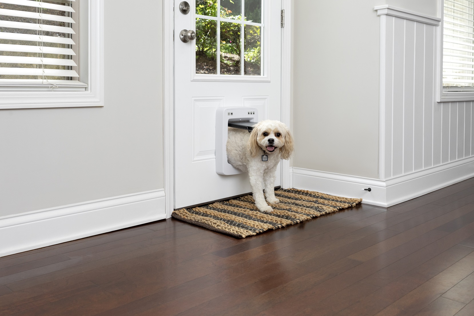 PetSafe SmartDoor Connected Pet Door - Medium size