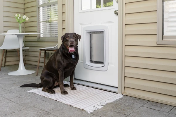 PetSafe SmartDoor Connected Pet Door - Large size
