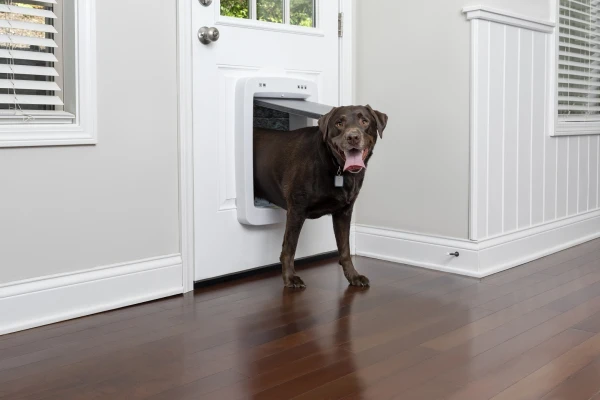 PetSafe SmartDoor Connected Pet Door - Large size