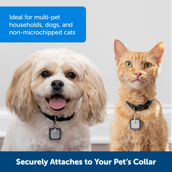 PetSafe Pet Door Key, Medium