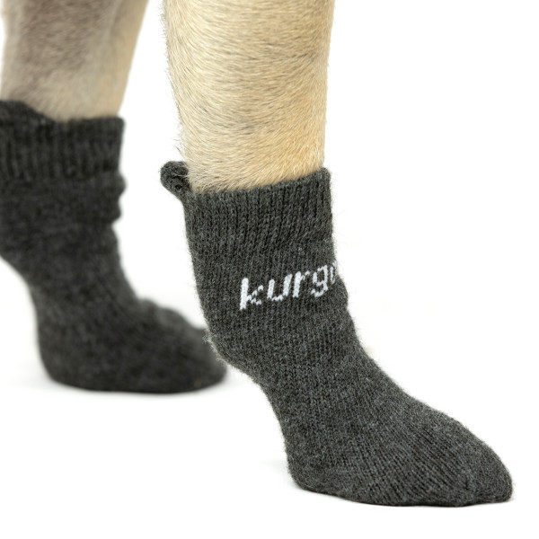 Kurgo Blaze Dog Socks, Outdoor Pet Socks, Elastic Socks Size M