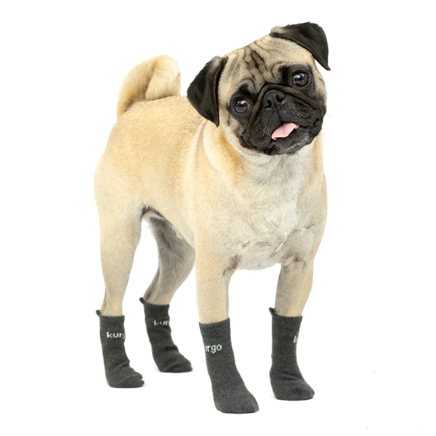 Kurgo Blaze Dog Socks, Outdoor Pet Socks, Elastic Socks Size L