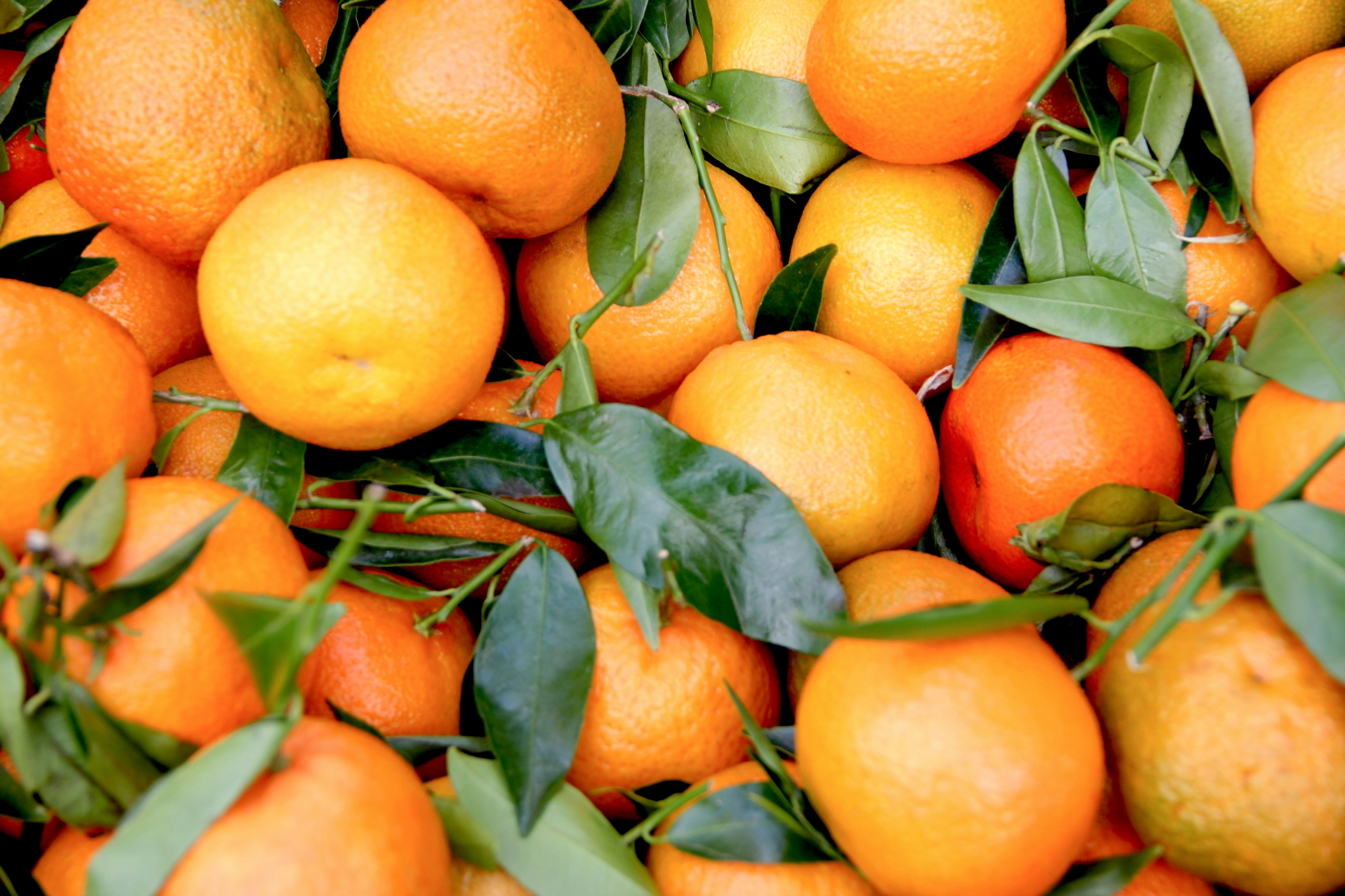 Uleiul esential de mandarina – aroma bunei dispozitii si a linistii interioare