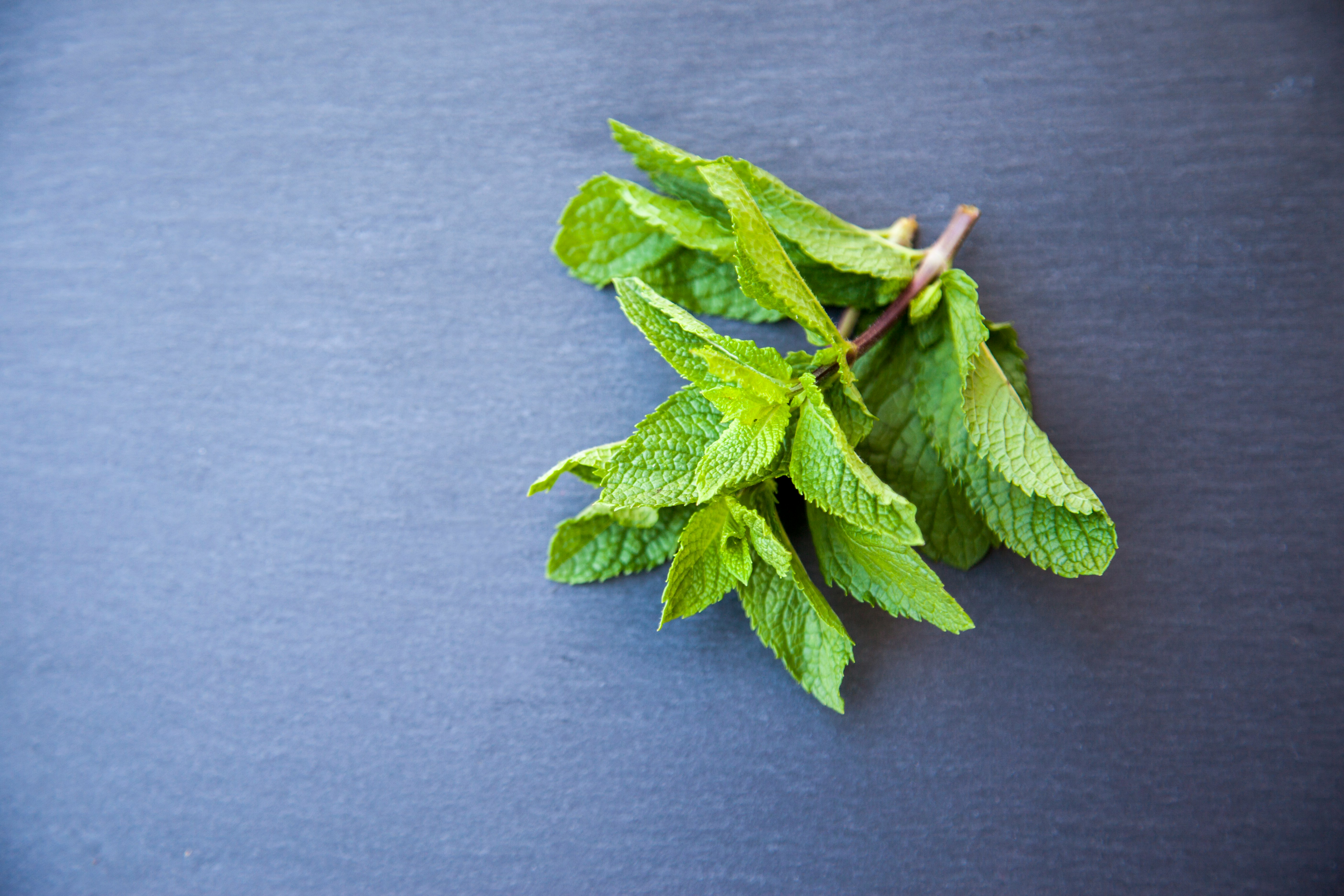 Ulei esential de menta – Beneficii, utilizari si recomandari
