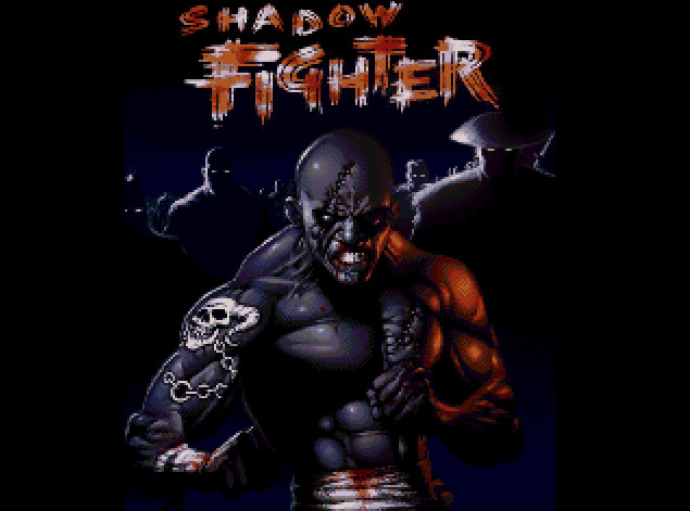 SHADOW FIGHTER