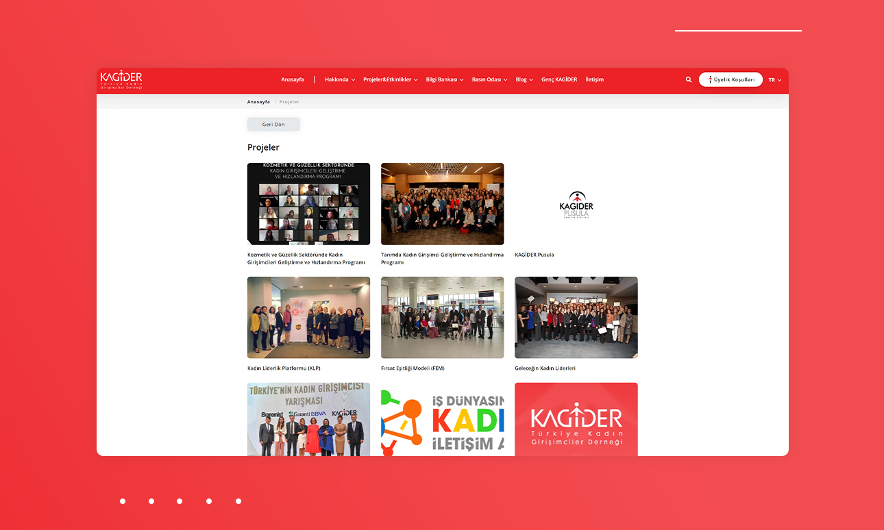 KAGİDER Web Sitesi