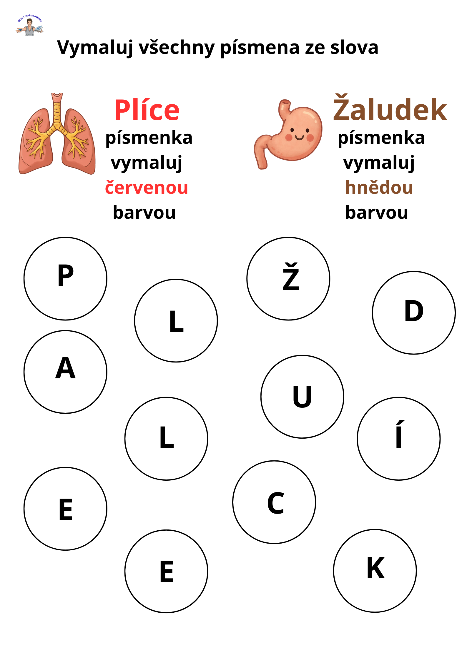 LIDSKÉ TĚLO – Komplexní vzdělávací průvodce (49 stran) - náhled 9