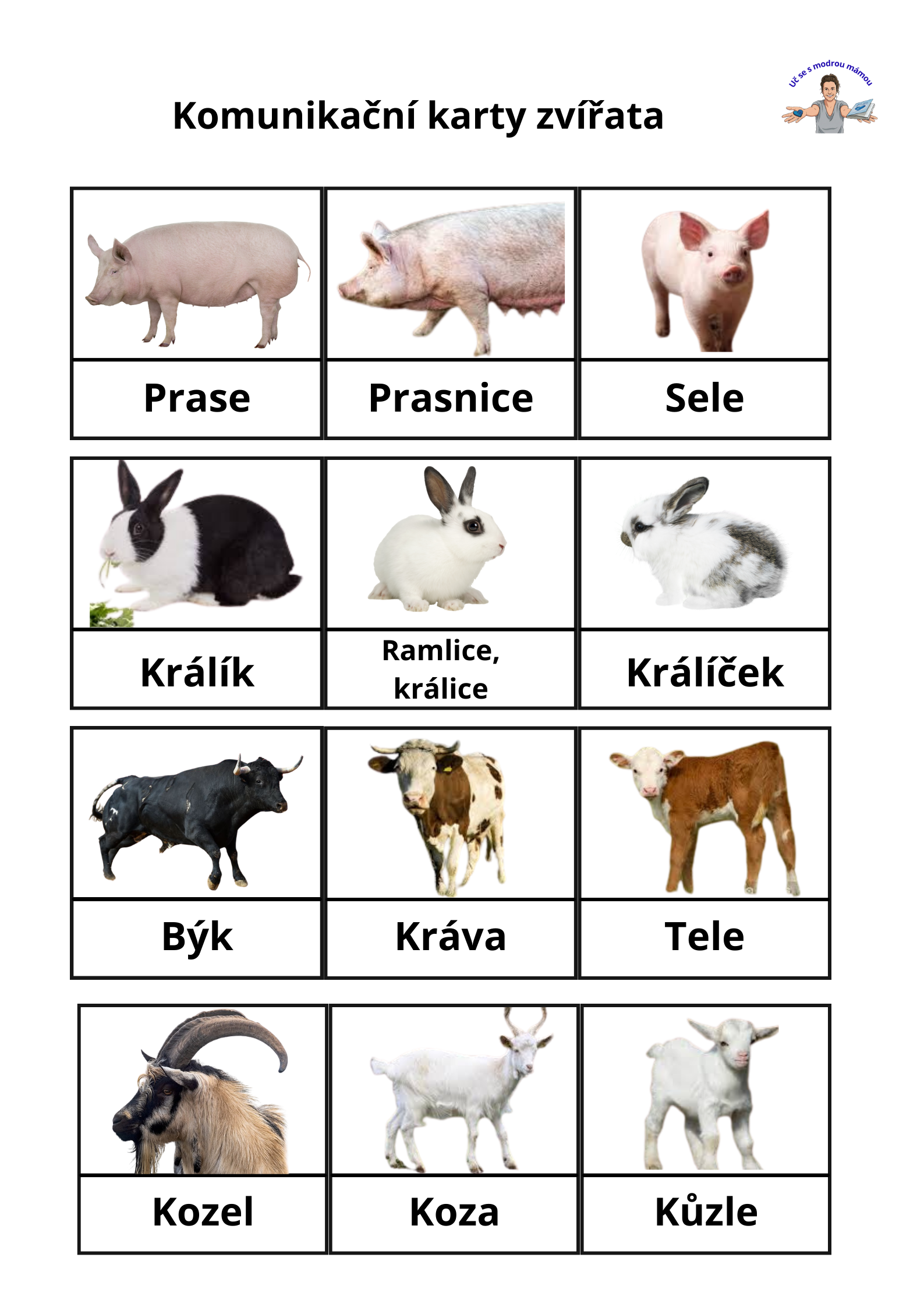 Domácí zvířata a mláďata od dvou 2let - náhled 2