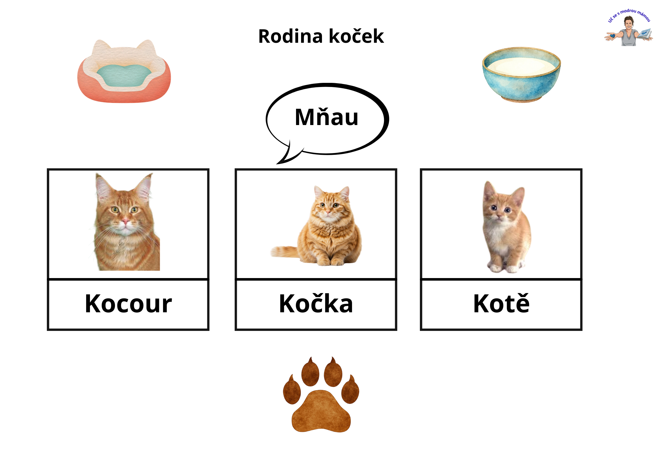 Domácí zvířata a mláďata od dvou 2let - náhled 3