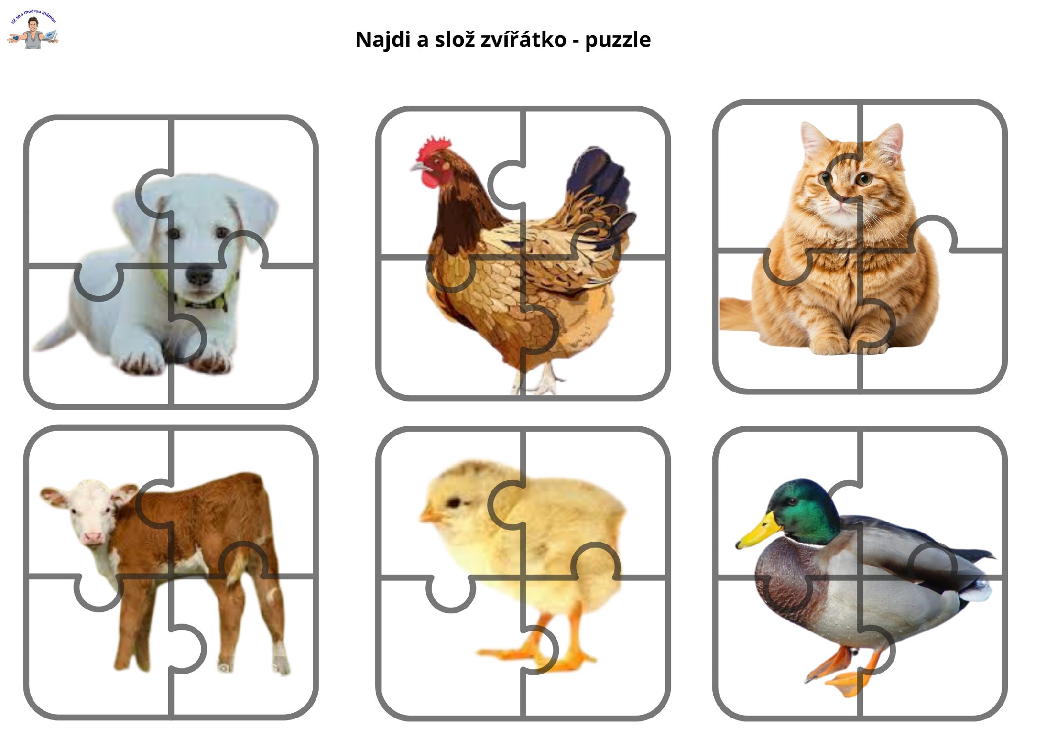 Domácí zvířata a mláďata od dvou 2let - náhled 10