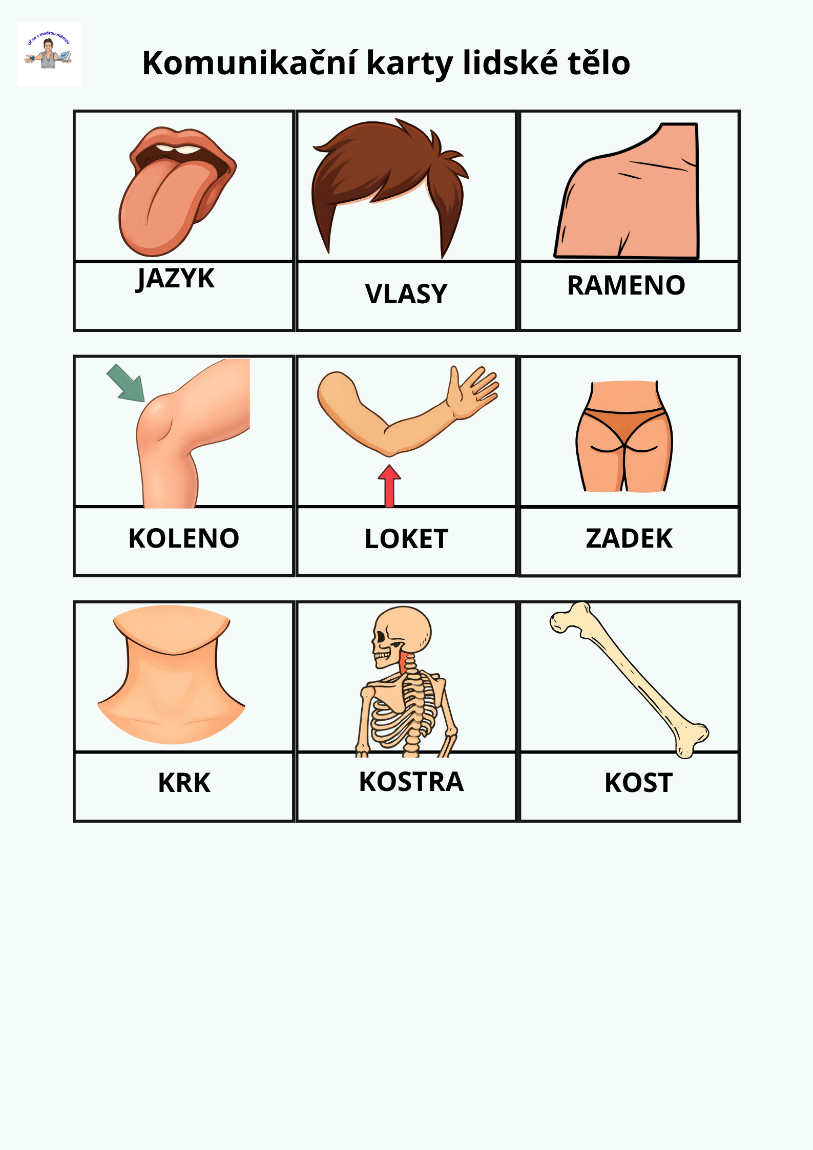 LIDSKÉ TĚLO – Komplexní vzdělávací průvodce (49 stran) - náhled 11