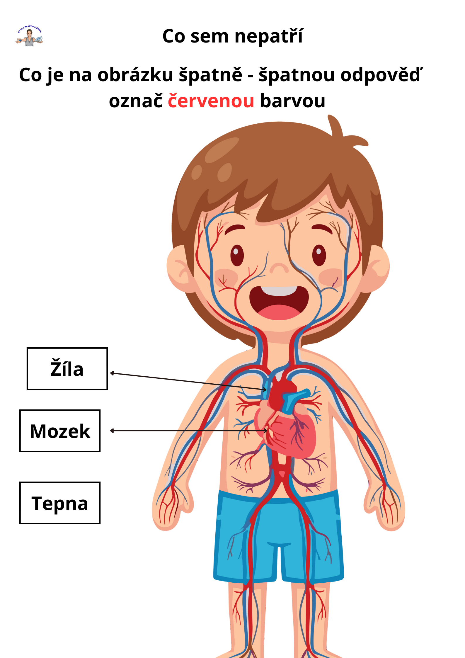 LIDSKÉ TĚLO – Komplexní vzdělávací průvodce (49 stran) - náhled 2