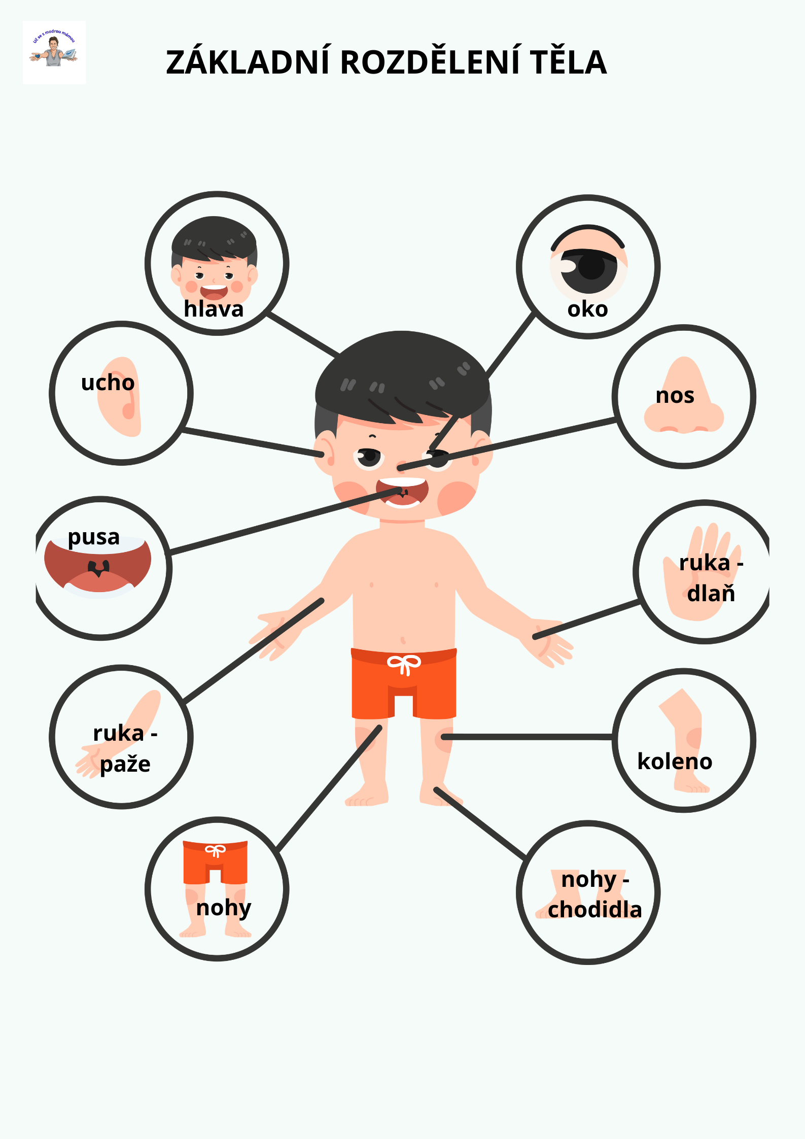 LIDSKÉ TĚLO – Komplexní vzdělávací průvodce (49 stran) - náhled 4