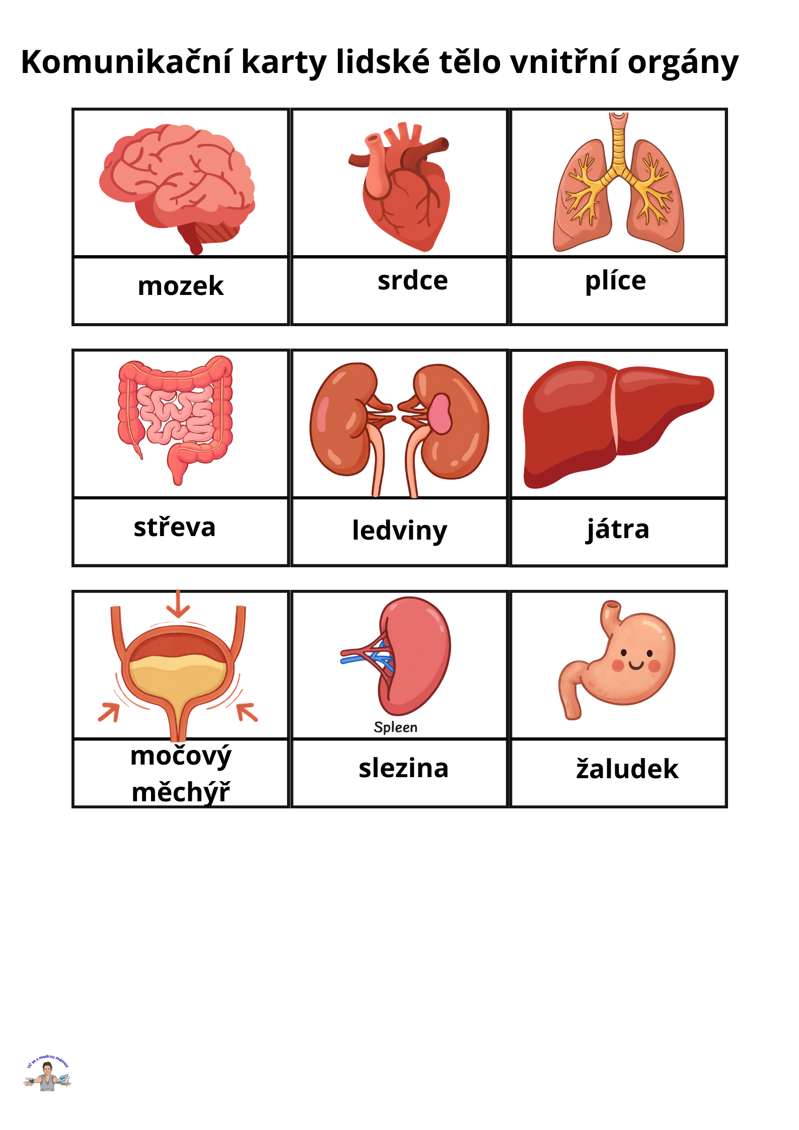 LIDSKÉ TĚLO – Komplexní vzdělávací průvodce (49 stran) - náhled 6