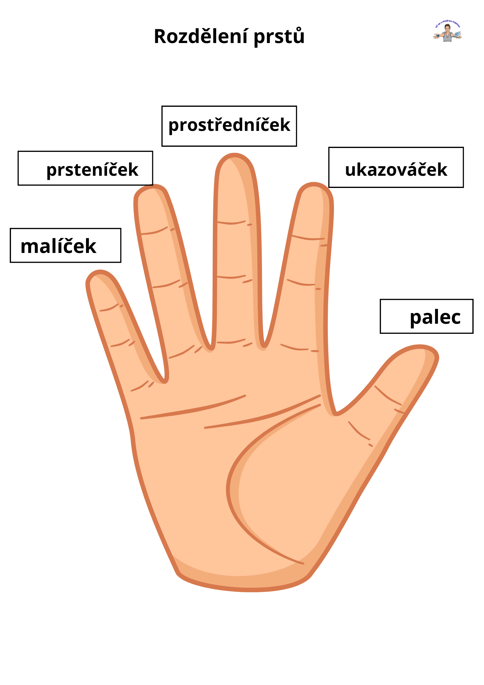 LIDSKÉ TĚLO – Komplexní vzdělávací průvodce (49 stran) - náhled 5